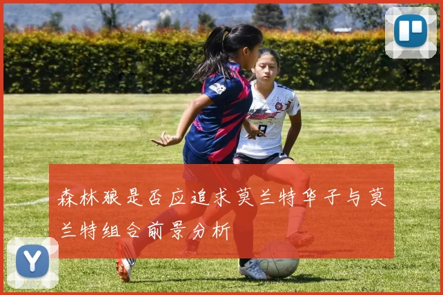 森林狼是否应追求莫兰特华子与莫兰特组合前景分析