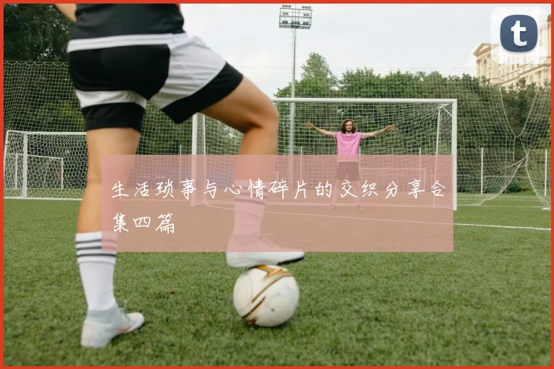 生活琐事与心情碎片的交织分享合集四篇